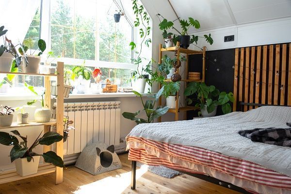 Chambre avec plantes