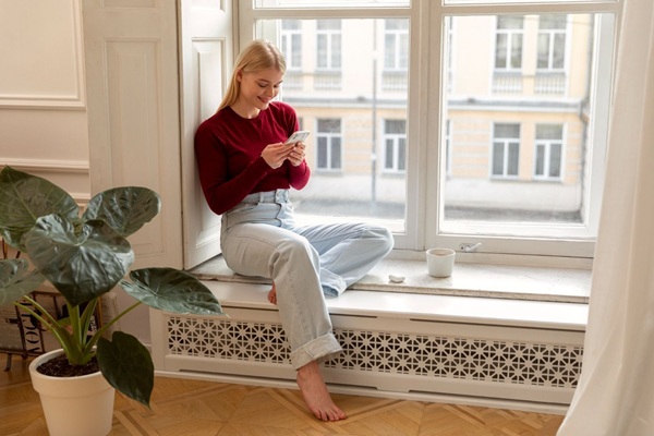 radiateur plinthe