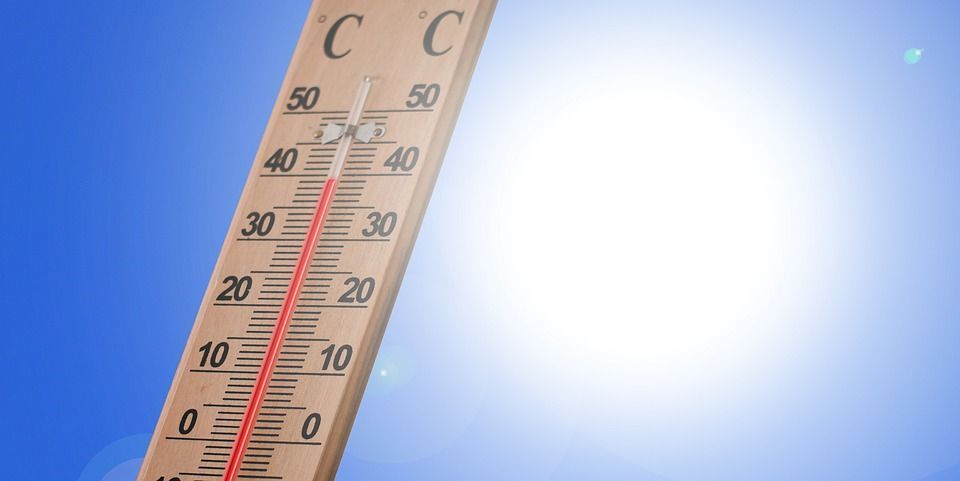 canicule 2019